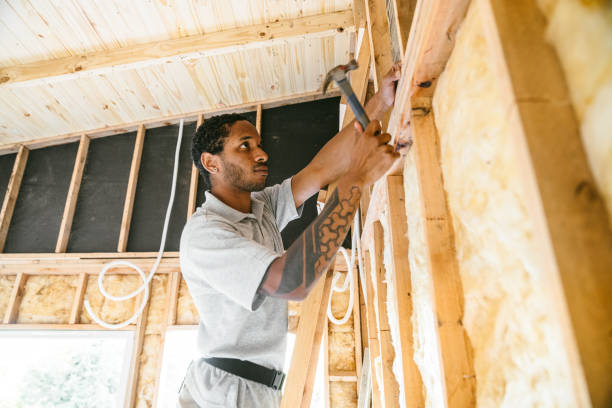 Best Local Insulation Services  in Atoka, NM